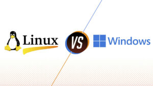 tuy vao doi tuong ma nen lua chon windows server va linux server